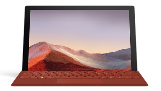 城北清洁和维护 Surface